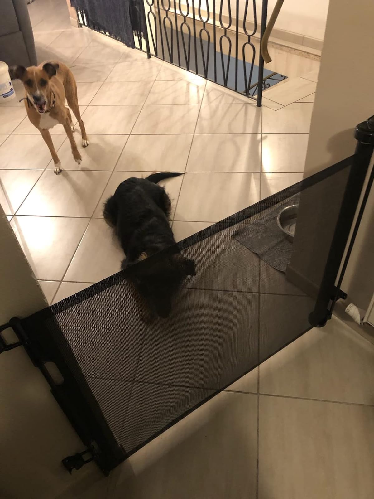 Retractable Child/Pet Gate